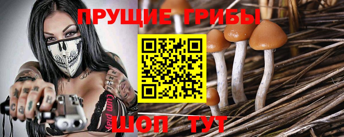 Галлюциногенные грибы мухоморы  Галлюциногенные грибы прущие грибы  Балтийск  Вход с VPN 